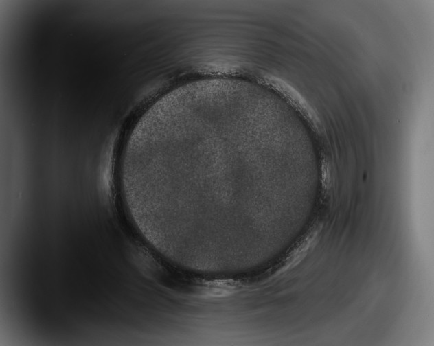 X0000087510396200705180958