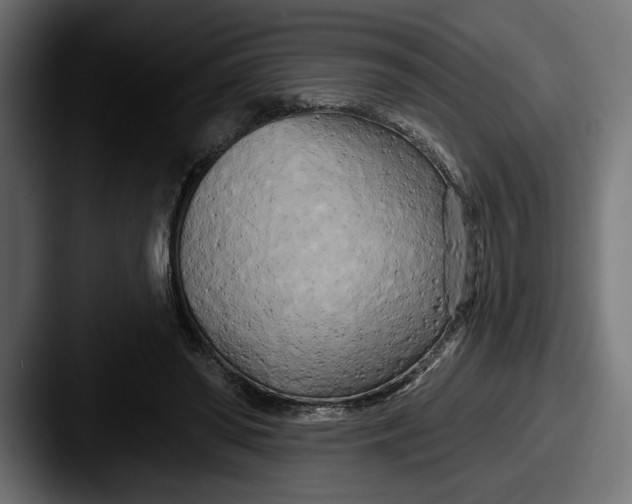 X0000087510398200705180958