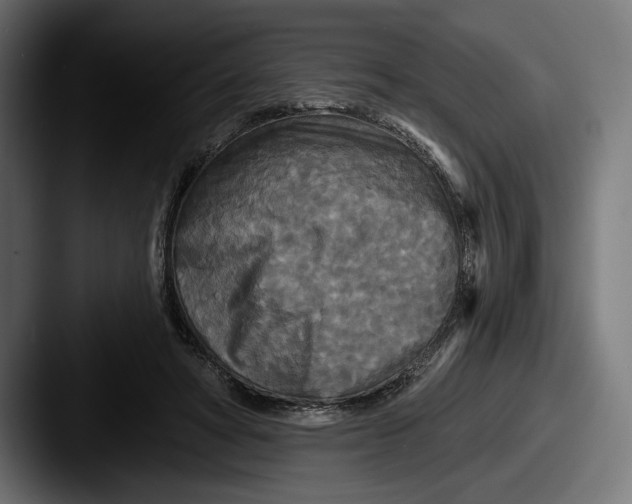 X0000087510402200705180958