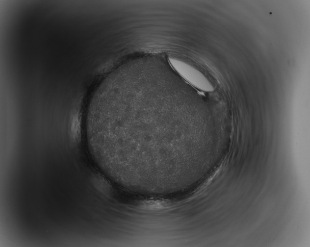 X0000087510404200705180958