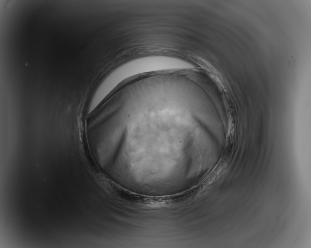 X0000087510405200705180958