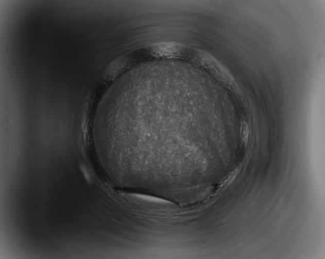 X0000087510408200705180958