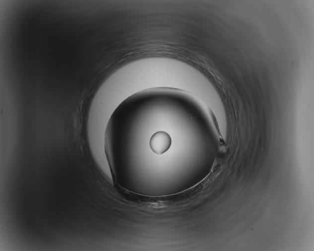 X0000087510411200705180958