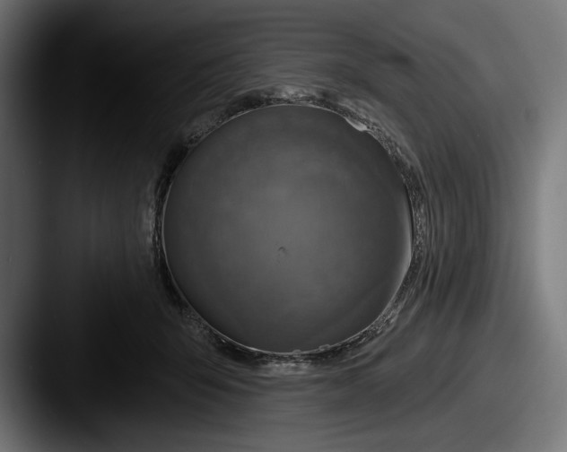 X0000087510415200705180958
