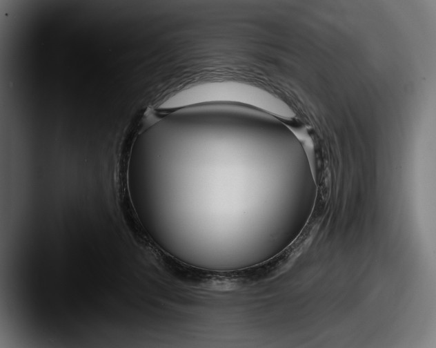 X0000087510416200705180958