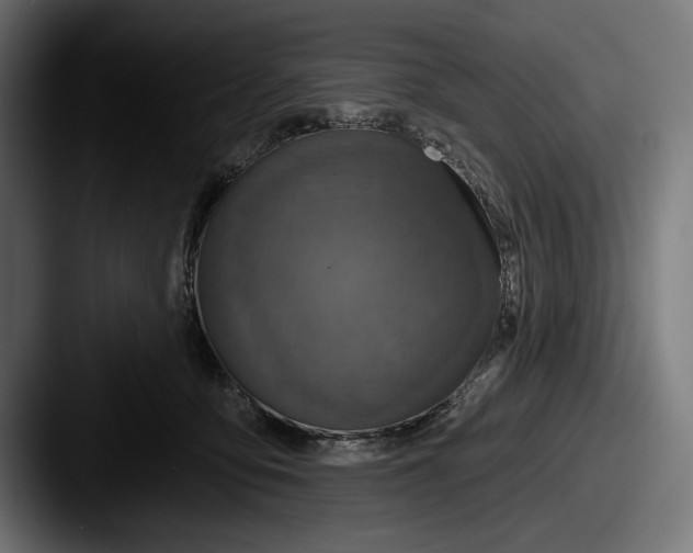 X0000087510419200705180958