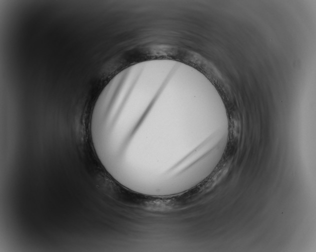 X0000087510422200705180958