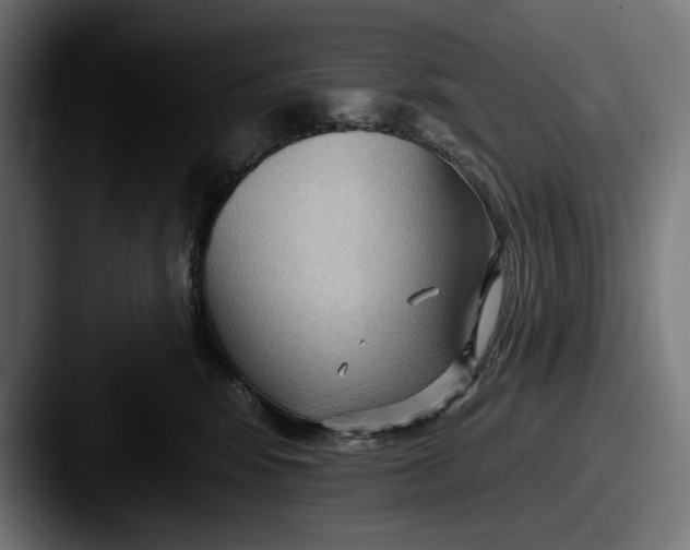 X0000087510424200705180958