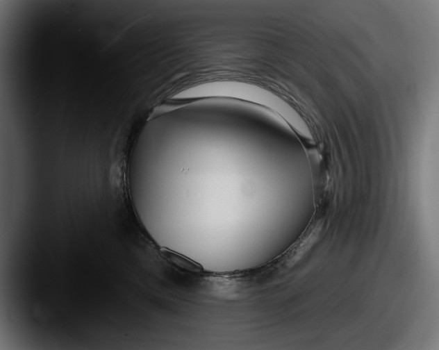 X0000087510425200705180958