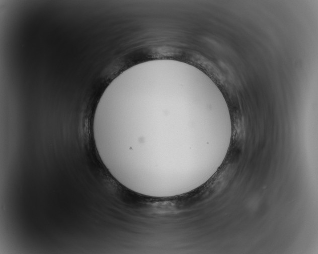 X0000087510426200705180958