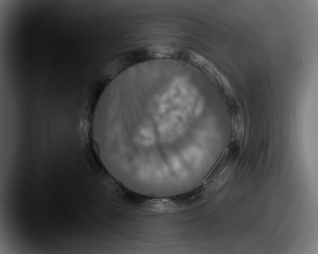 X0000087510427200705180958