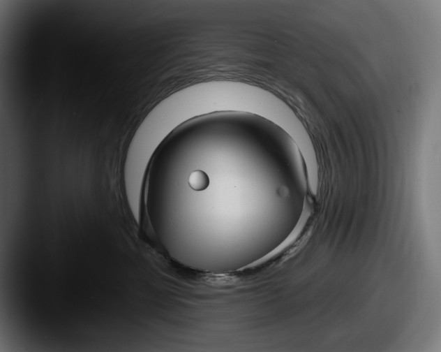 X0000087510429200705180958