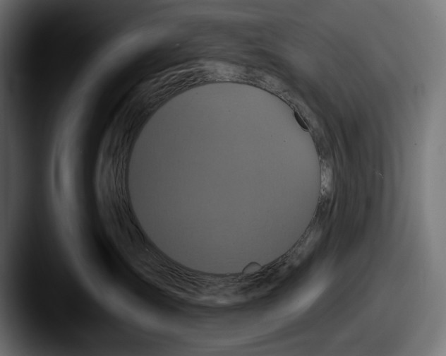 X0000087510431200705180958