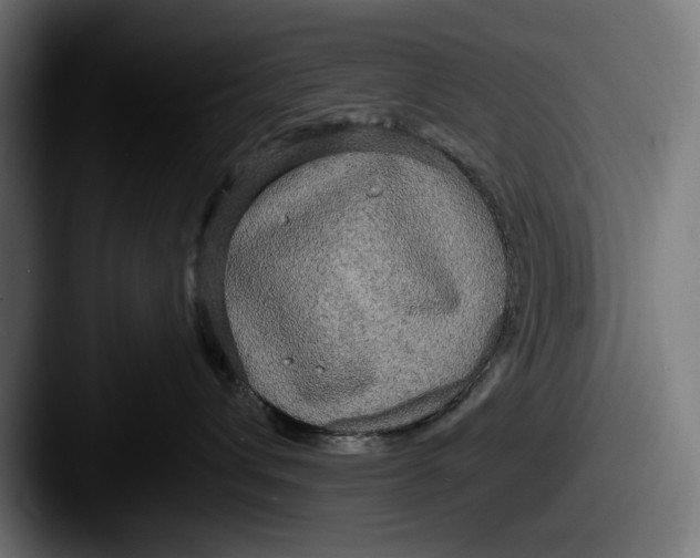 X0000087510432200705180957