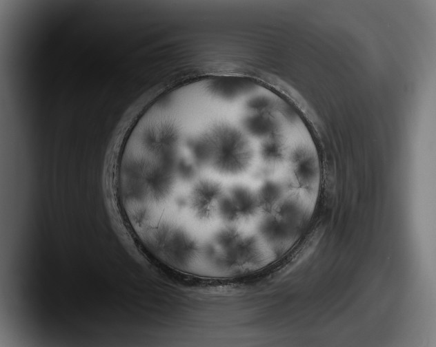 X0000087510433200705180957