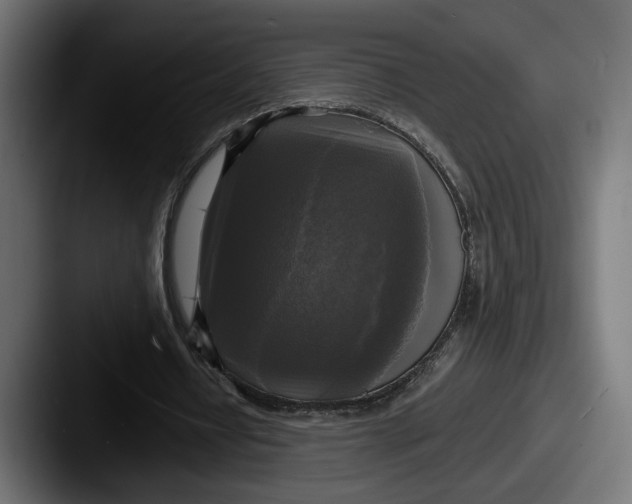 X0000087510434200705180957