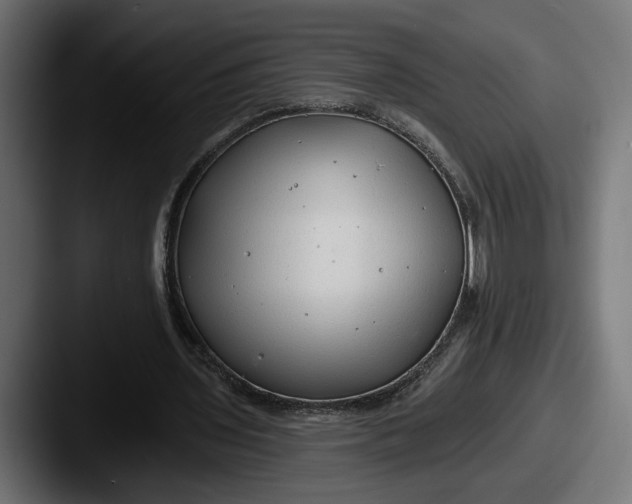 X0000087510435200705180957