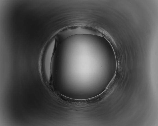 X0000087510436200705180957