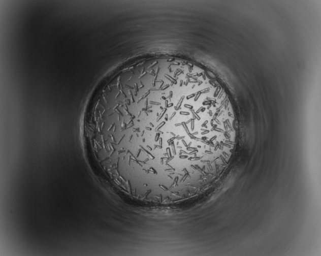 X0000087510439200705180957