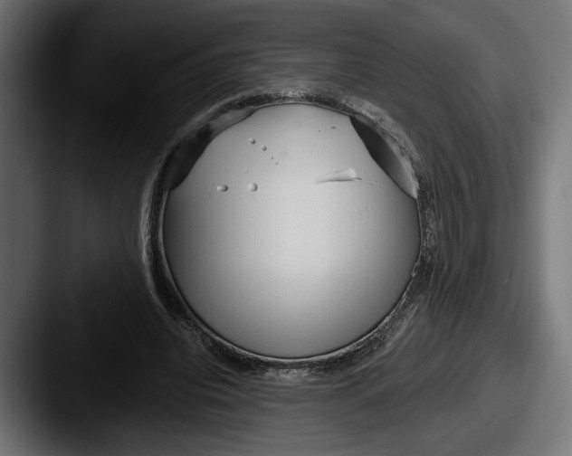 X0000087510440200705180957