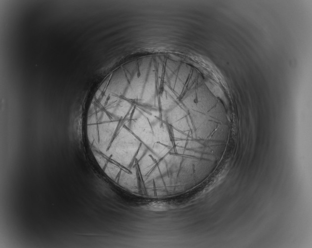 X0000087510441200705180957