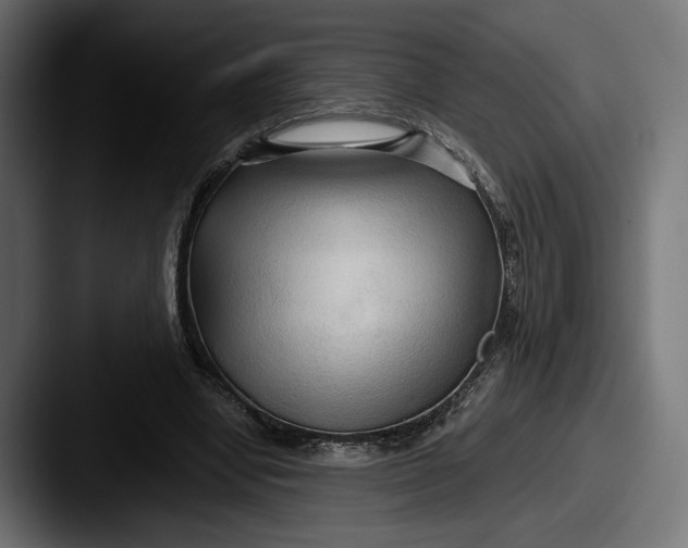 X0000087510442200705180957
