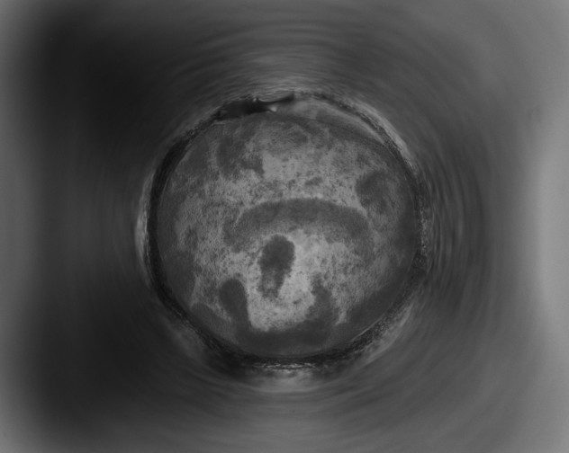 X0000087510443200705180957