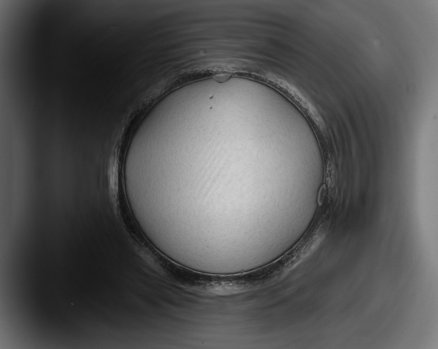 X0000087510445200705180957