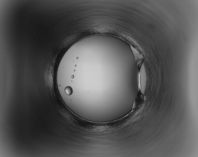 X0000087510446200705180957