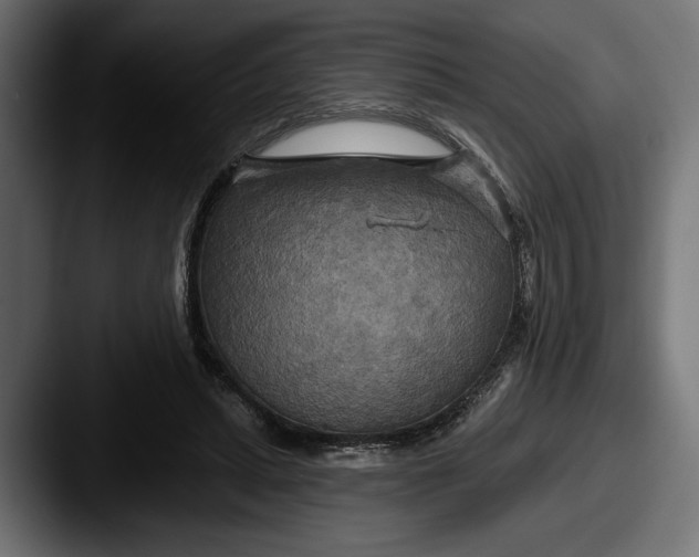 X0000087510447200705180957