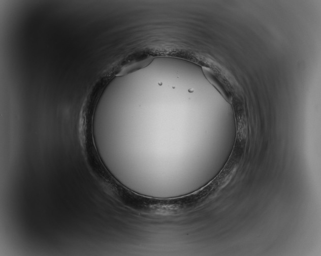 X0000087510448200705180957