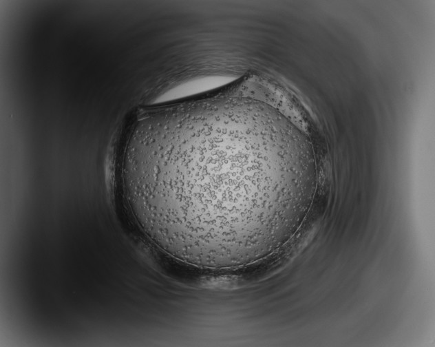 X0000087510452200705180957