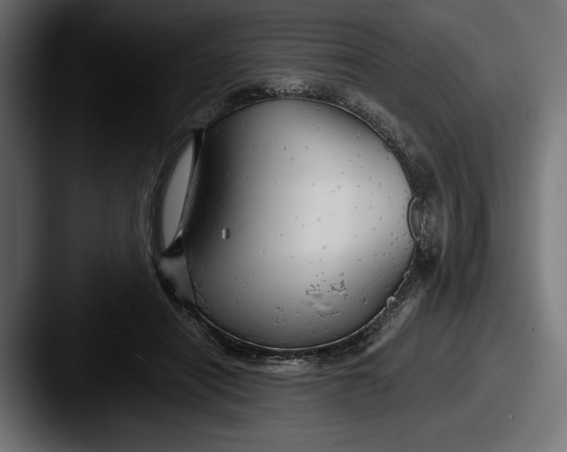 X0000087510454200705180957