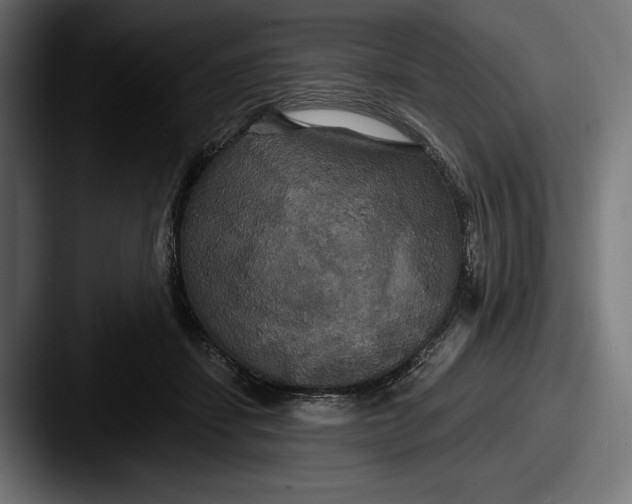 X0000087510459200705180957