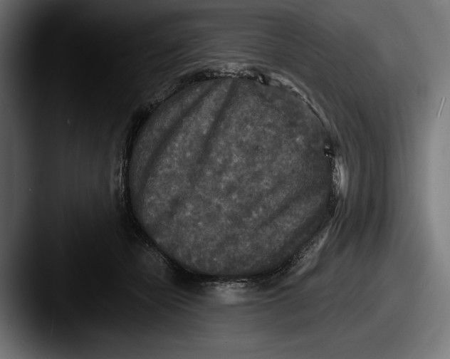 X0000087510462200705180957