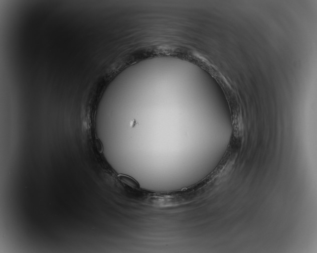 X0000087510472200705180957