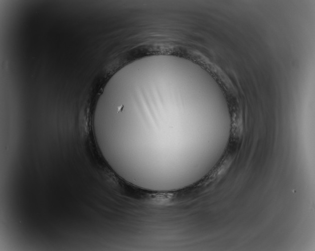 X0000087510474200705180957
