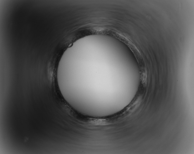 X0000087510476200705180957