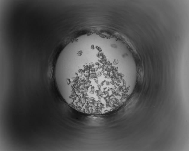 X0000087510477200705180957