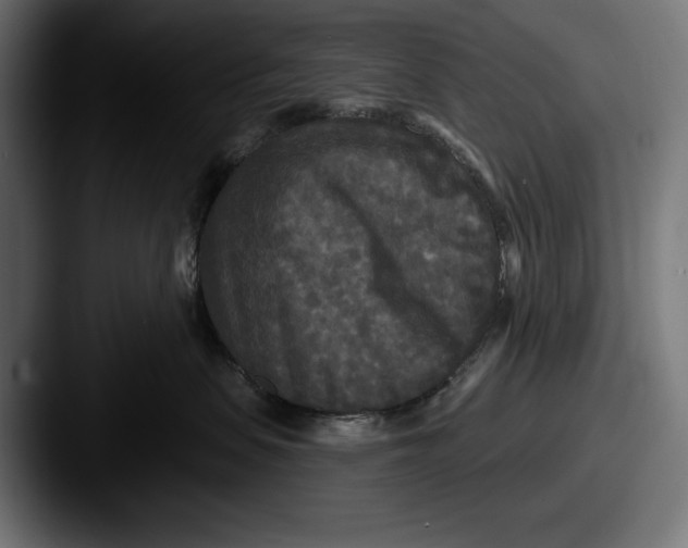 X0000087510479200705180957