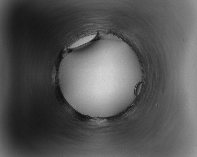 X0000087510480200705180957