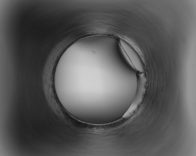 X0000087510481200705180957