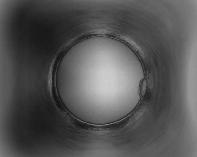 X0000087510486200705180957