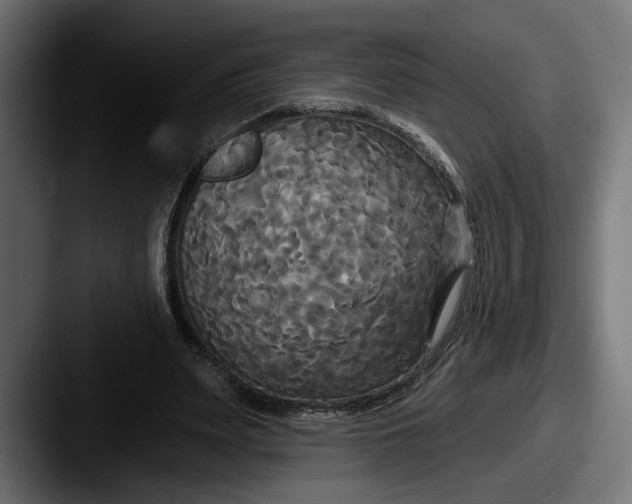 X0000087510487200705180957