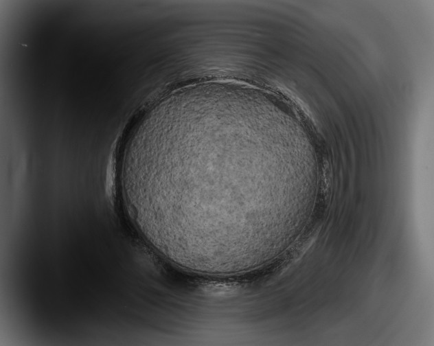 X0000087510494200705180957