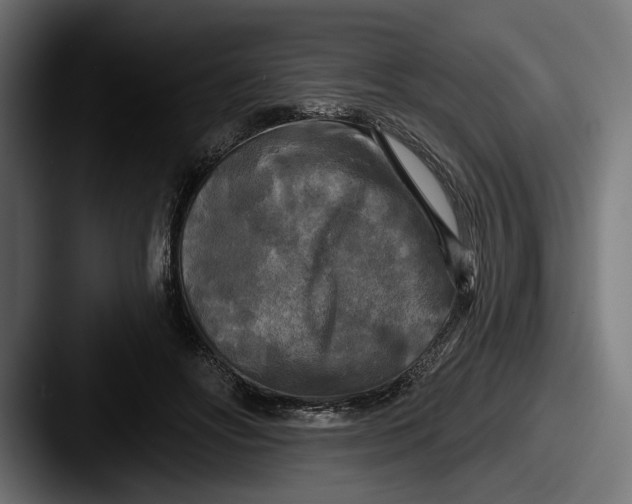 X0000087510502200705180957