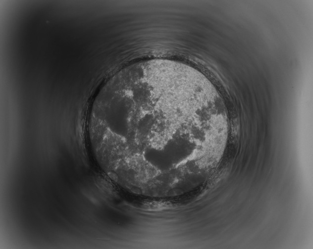 X0000087510503200705180957