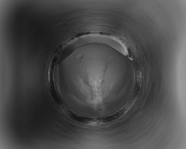 X0000087510504200705180957