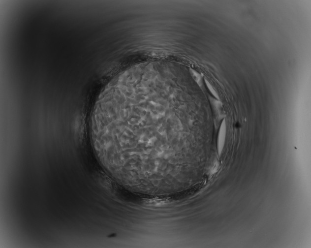 X0000087510511200705180957