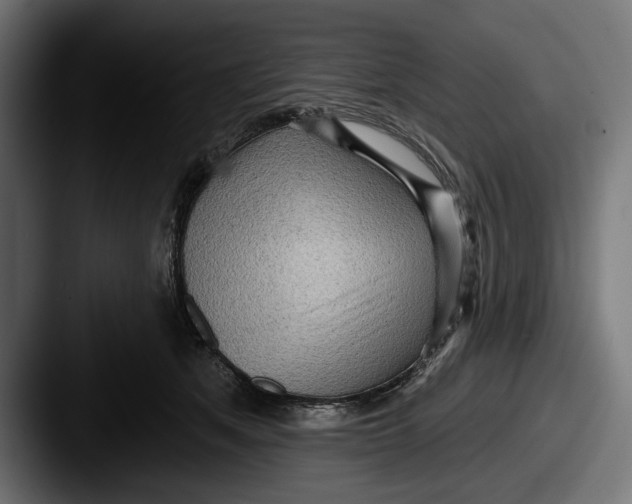 X0000087510513200705180957